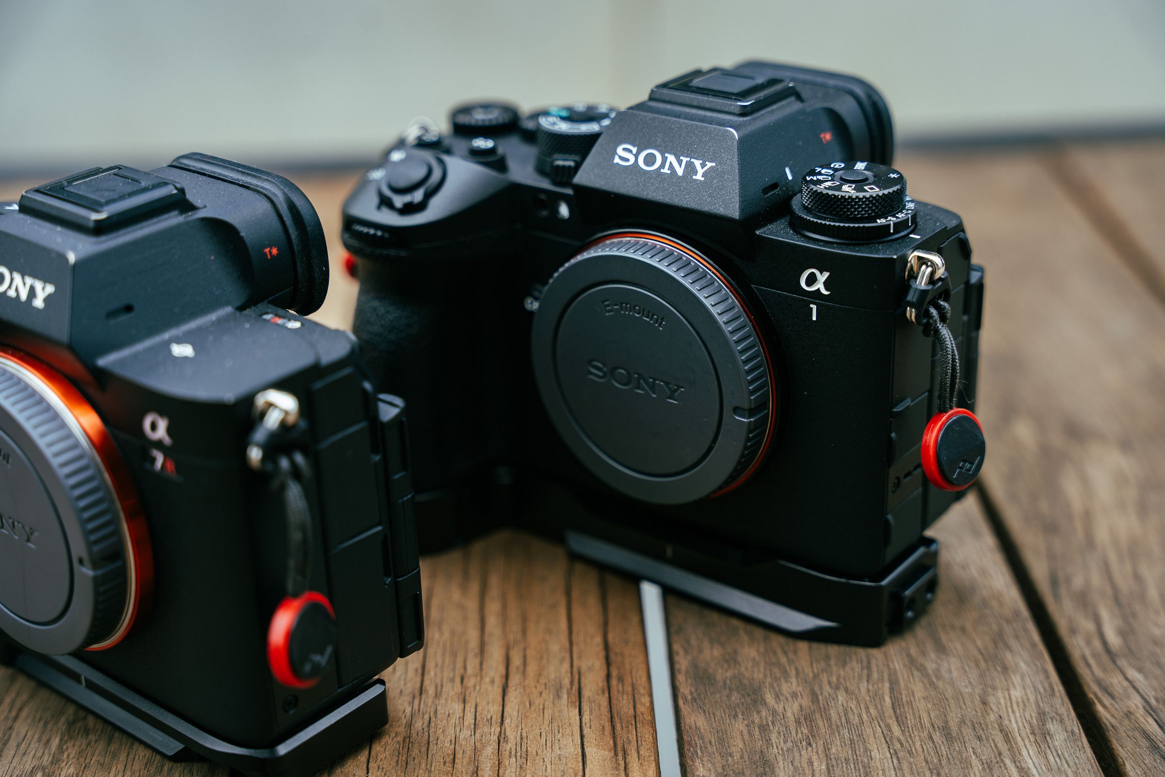 Sony Alpha 1 II und Alpha 7RV - Warum gutes Equipment wichtig ist...
